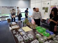 昆虫展示の様子