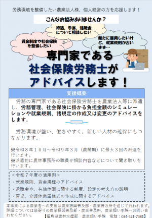 チラシ