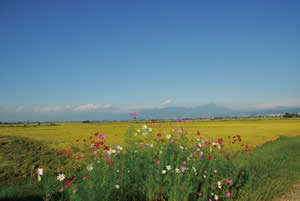 八木沢より会津盆地を望む