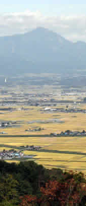 県道阿且つ塔寺線の風景