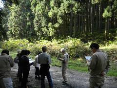2第2期森林整備事業_双里地区
