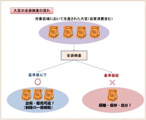大豆の全袋検査の流れ