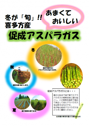 促成アスパラガスPRチラシ