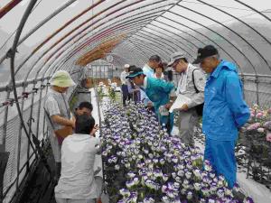 トルコギキョウ栽培に強い興味を示し野田主任研究員の指導を受ける生産者