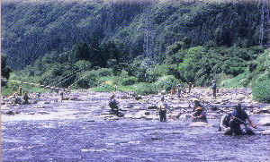 伊南川の鮎釣り
