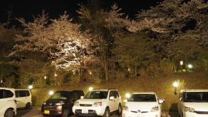 夜の桜坂