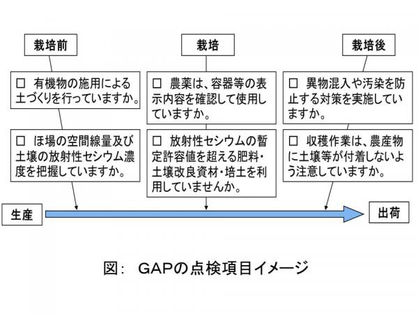 ＧＡＰの点検項目イメージ