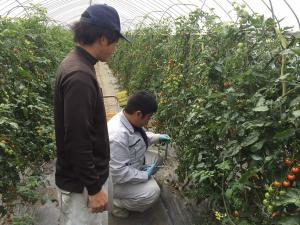 研修を受ける高校生