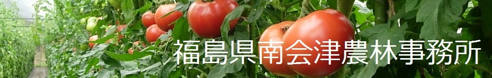 南会津農林事務所トップロゴ