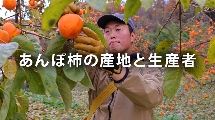 あんぽ柿の産地と生産者