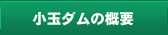 

小玉ダムの概要