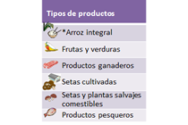 Image of the page contents 01