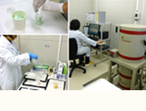 Image of the page contents 01