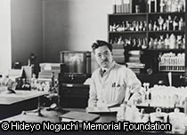 Image of the page contents 04