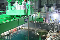 原子力発電所の状況画像　click here