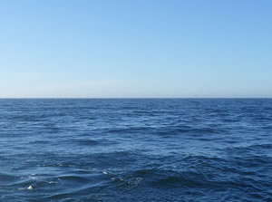 ALPS處理水排放周邊海域的海水監測結果