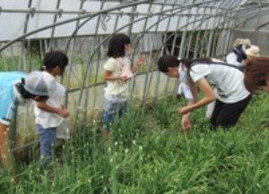 生活協同組合あいコープふくしま