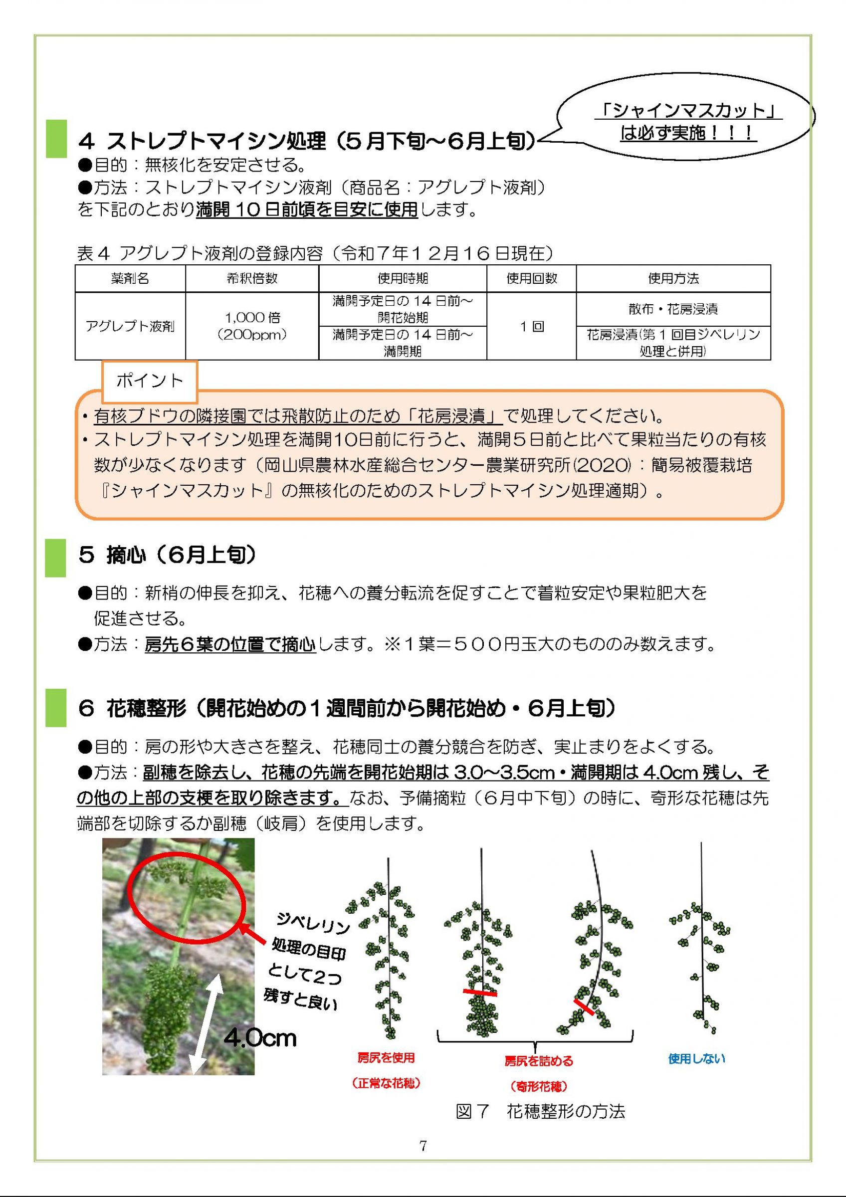 ウェブブック - 伊達地方版シャインマスカット栽培マニュアル