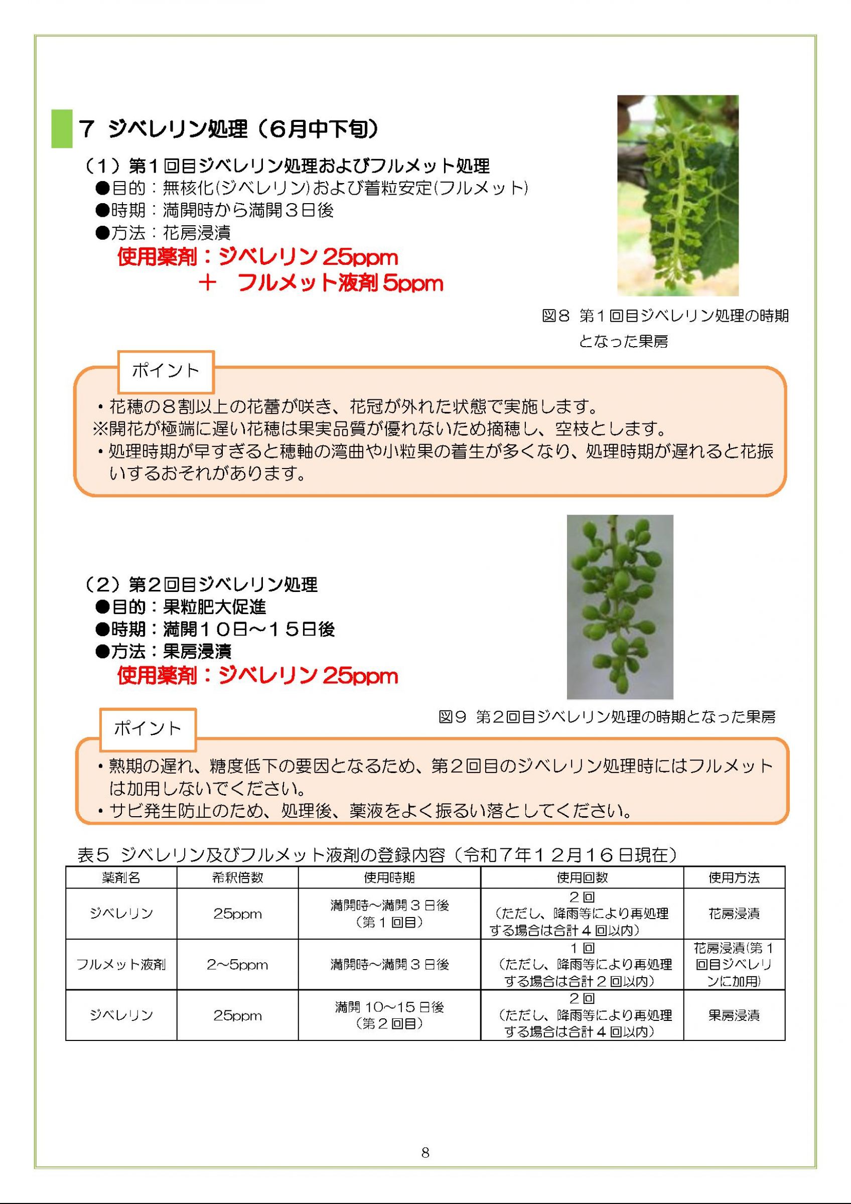 ウェブブック - 伊達地方版シャインマスカット栽培マニュアル