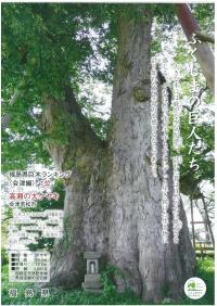 巨木チラシ（会津）
