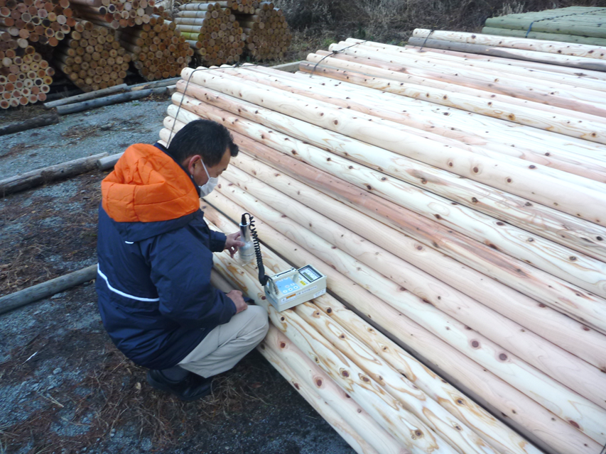 木材表面線量調査