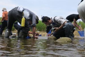 水生生物採集