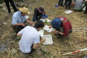 水生生物の同定