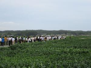 飯崎生産組合ほ場(1)