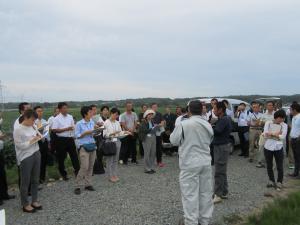 飯崎生産組合ほ場(2)