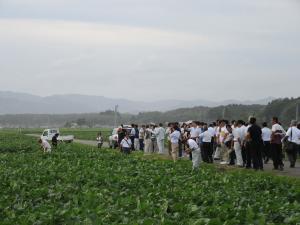 高ライスセンターほ場(1)