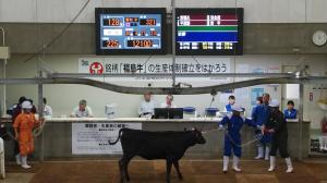 最高落札価格で売買された子牛