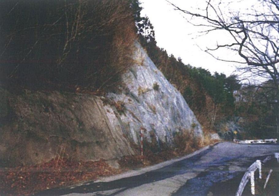 危険箇所（幅員が狭く、急カーブ）写真