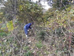 手際よく有刺鉄線を下ろす牧野組合員