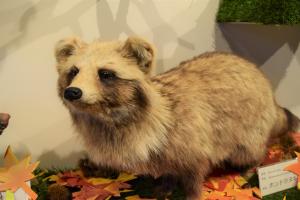 展示について - 福島県ホームページ