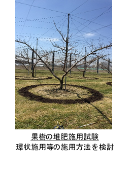 果樹の堆肥施用試験