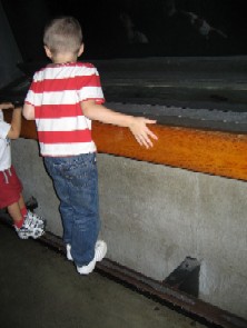 水族館にある水槽を見やすくするための踏み台