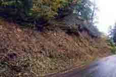 道路方面整備前