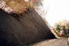 道路方面整備後