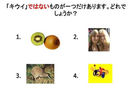 ニュージーランドクイズ　Q8