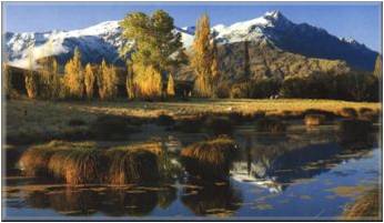秋のニュージーランドの写真