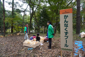 かんなくずプール