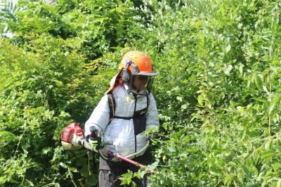 吉田香織さん　写真１