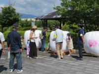 ロールベールお絵かき