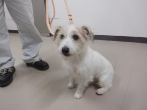 ２０２５１２１５a