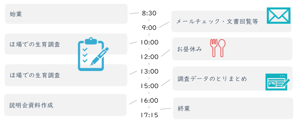 スケジュール