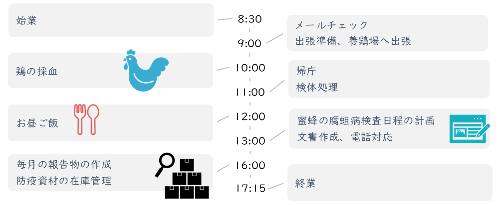 スケジュール
