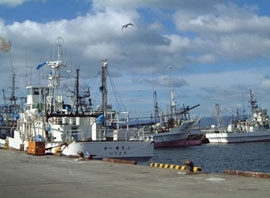 漁港区に停泊する漁船