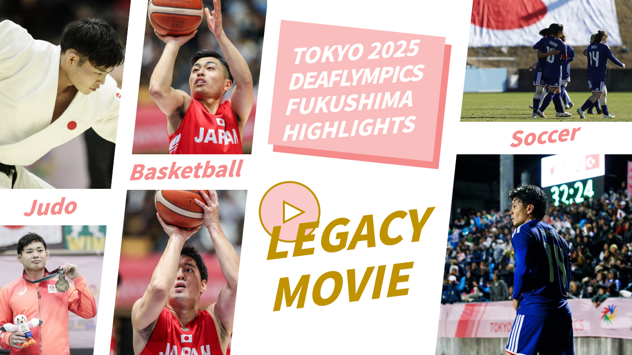 ハイライト動画