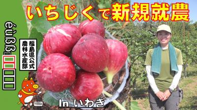 いちじく