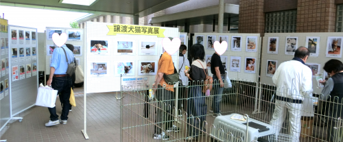 写真展